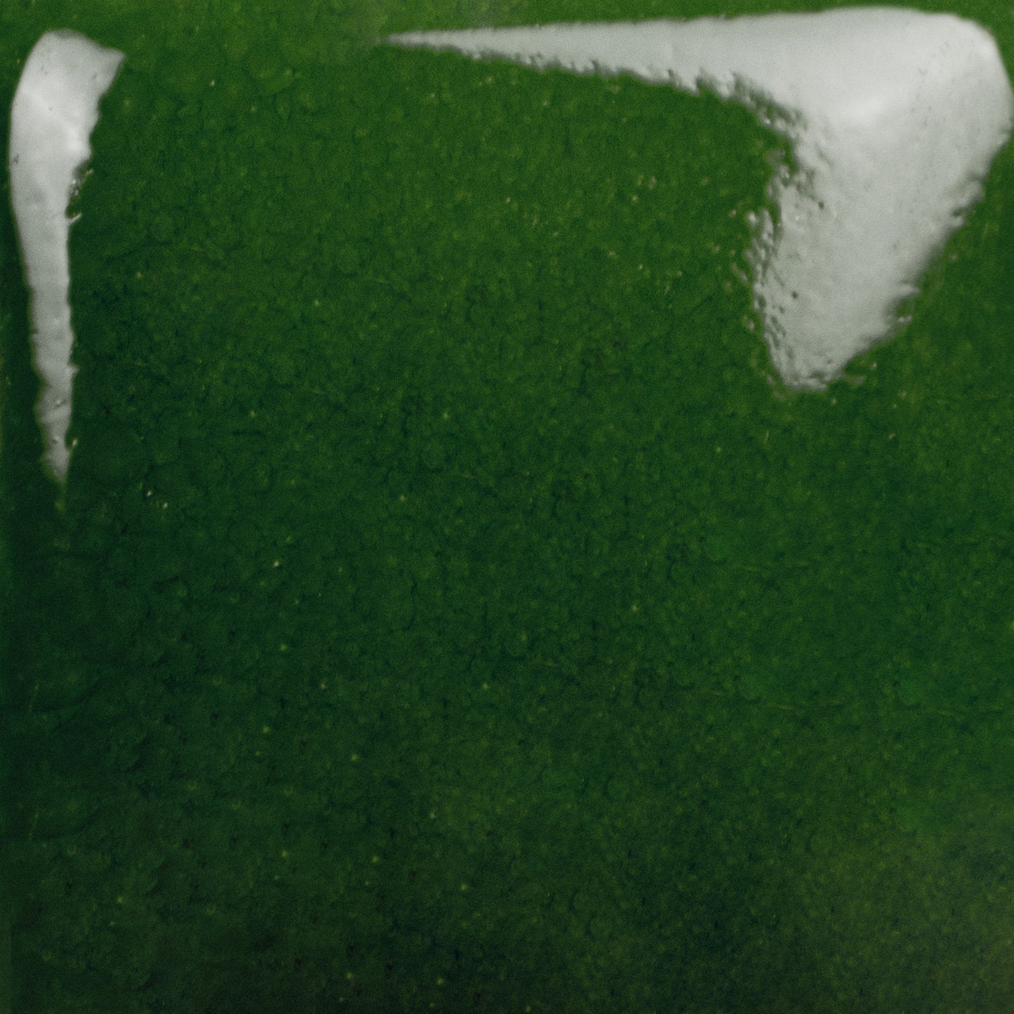 SC-36 Irish Luck | Stroke & Coat