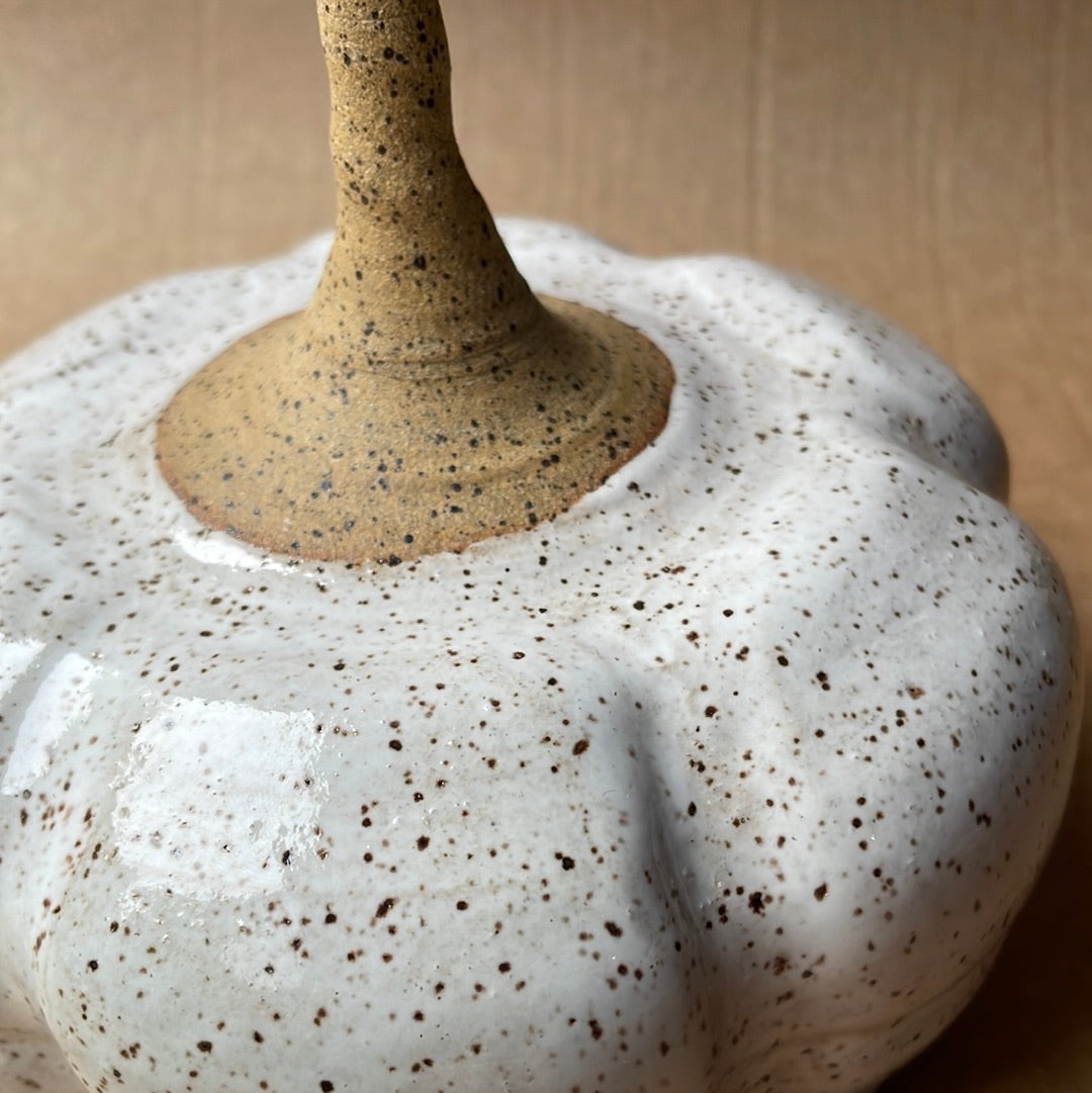 Medium Speckled Stoneware Pumpkin #4