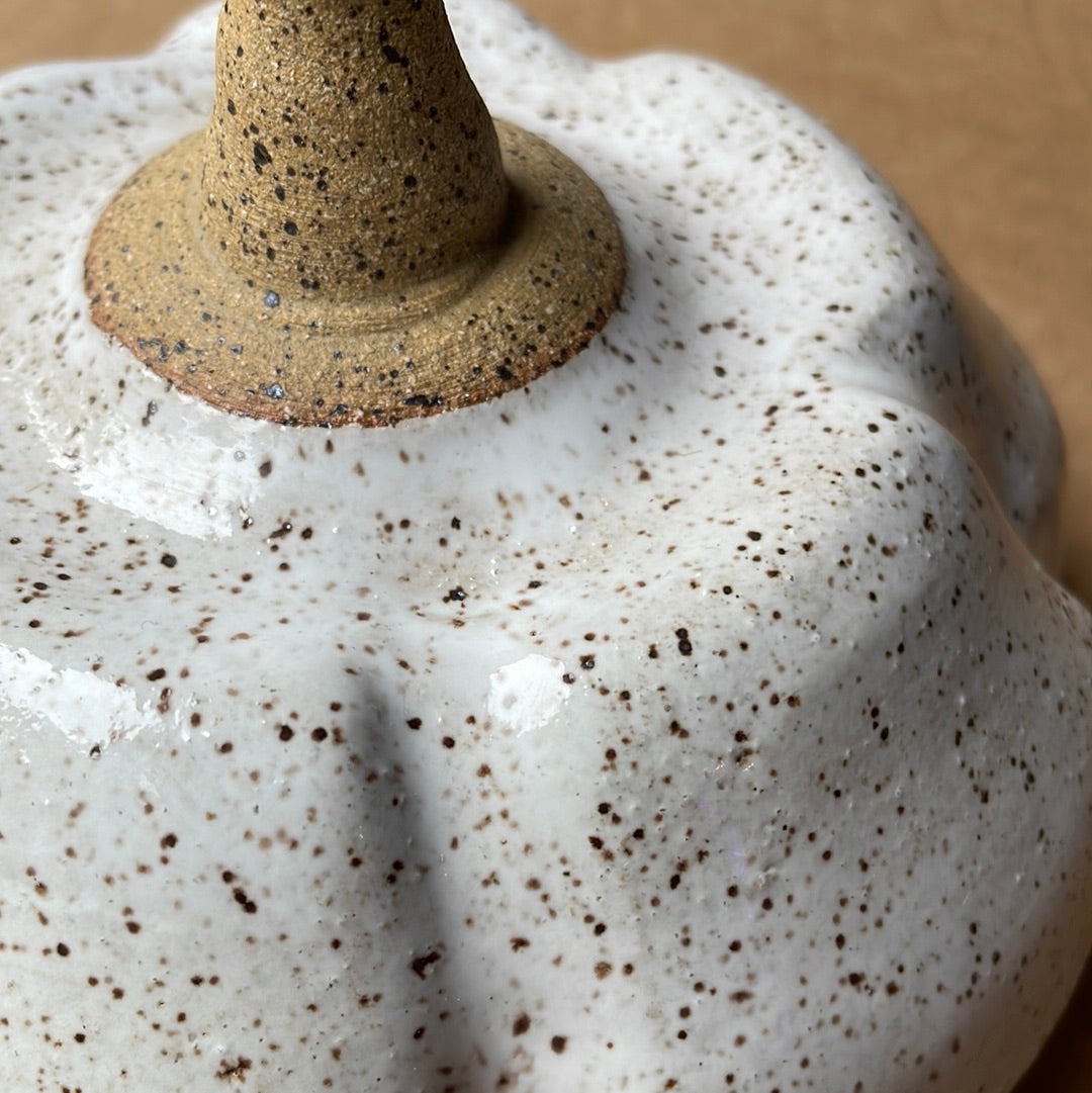 Medium Speckled Stoneware Pumpkin #6