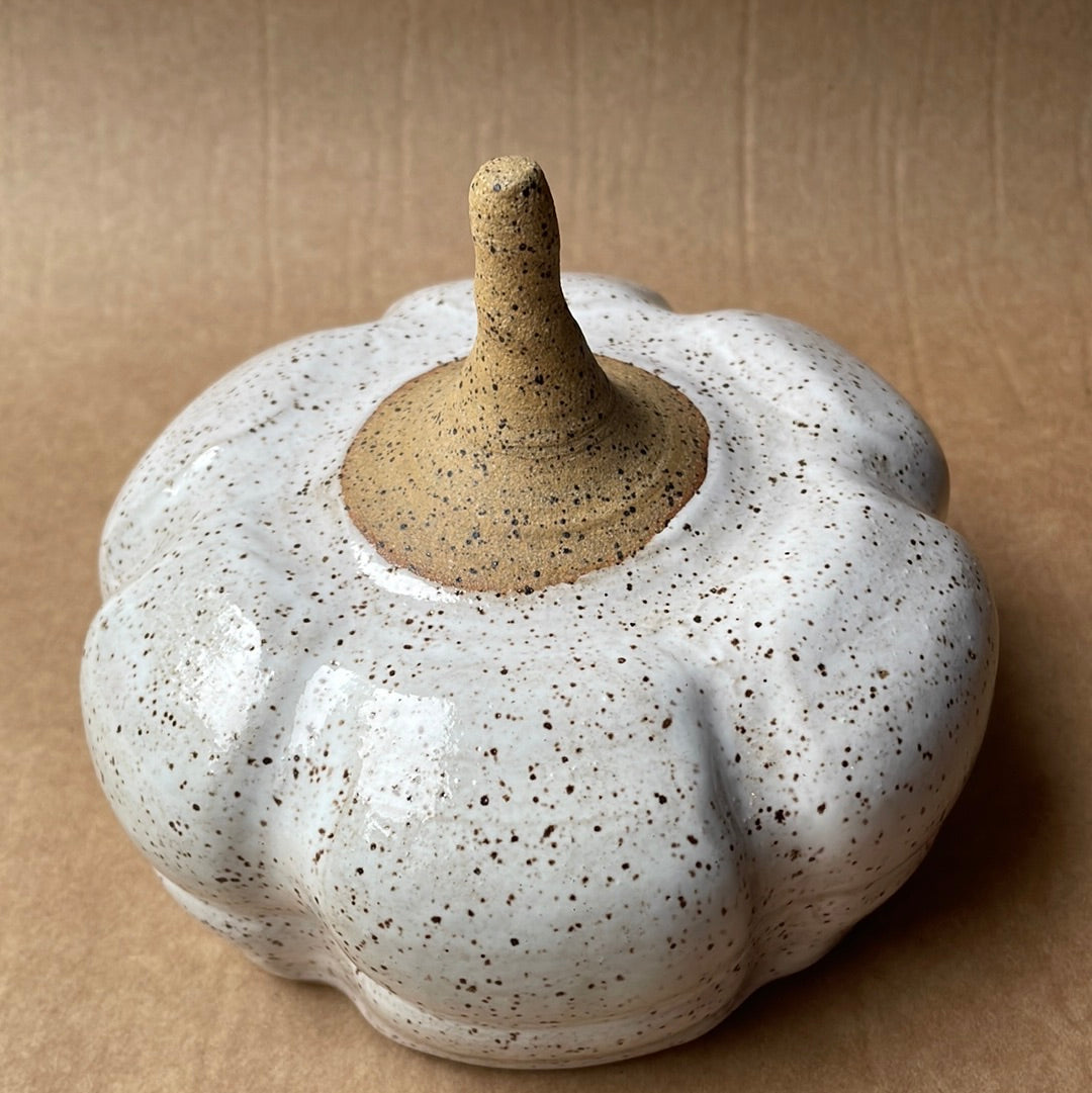 Medium Speckled Stoneware Pumpkin #4