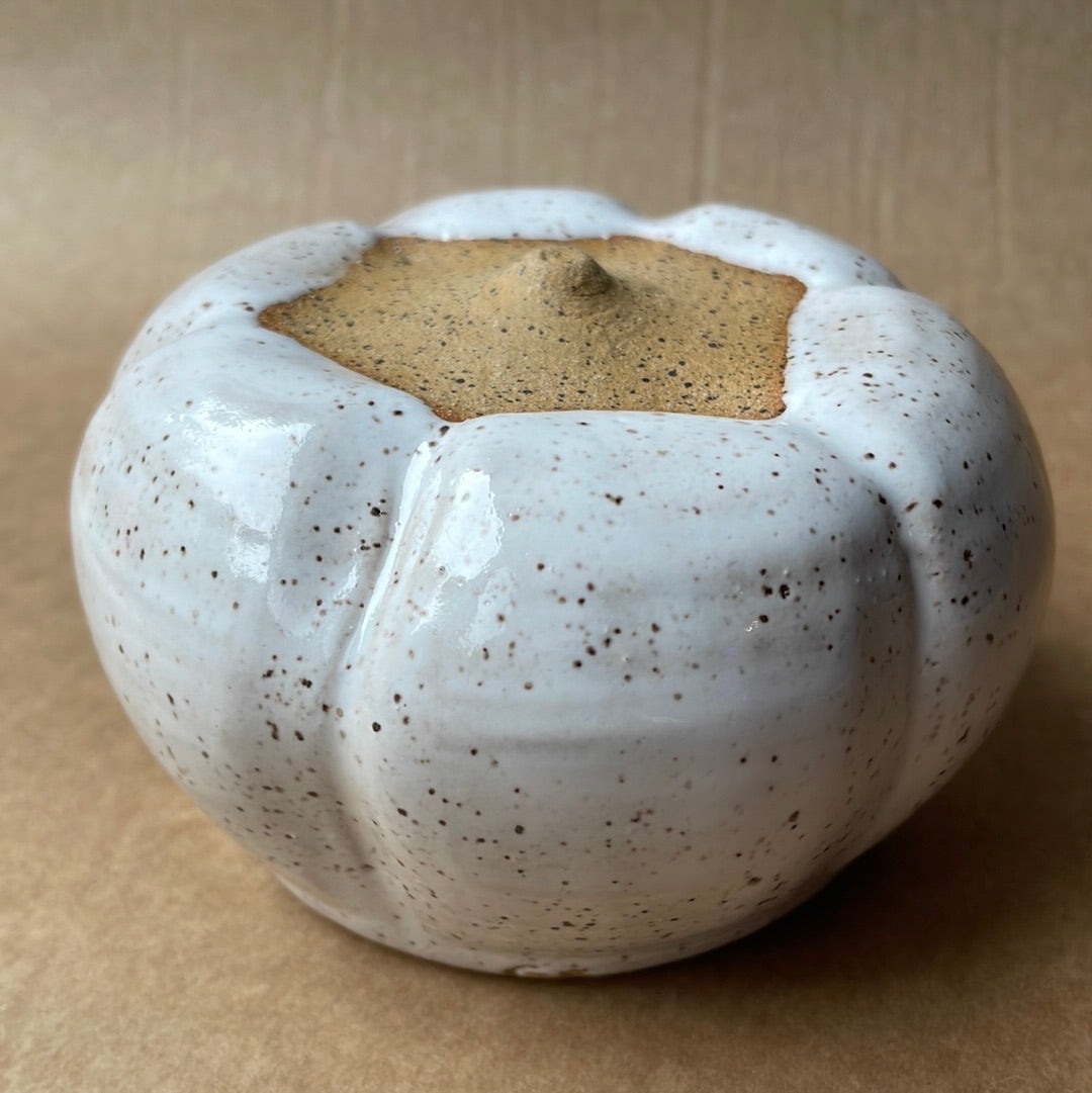 Small Speckled Stoneware Pumpkin #1