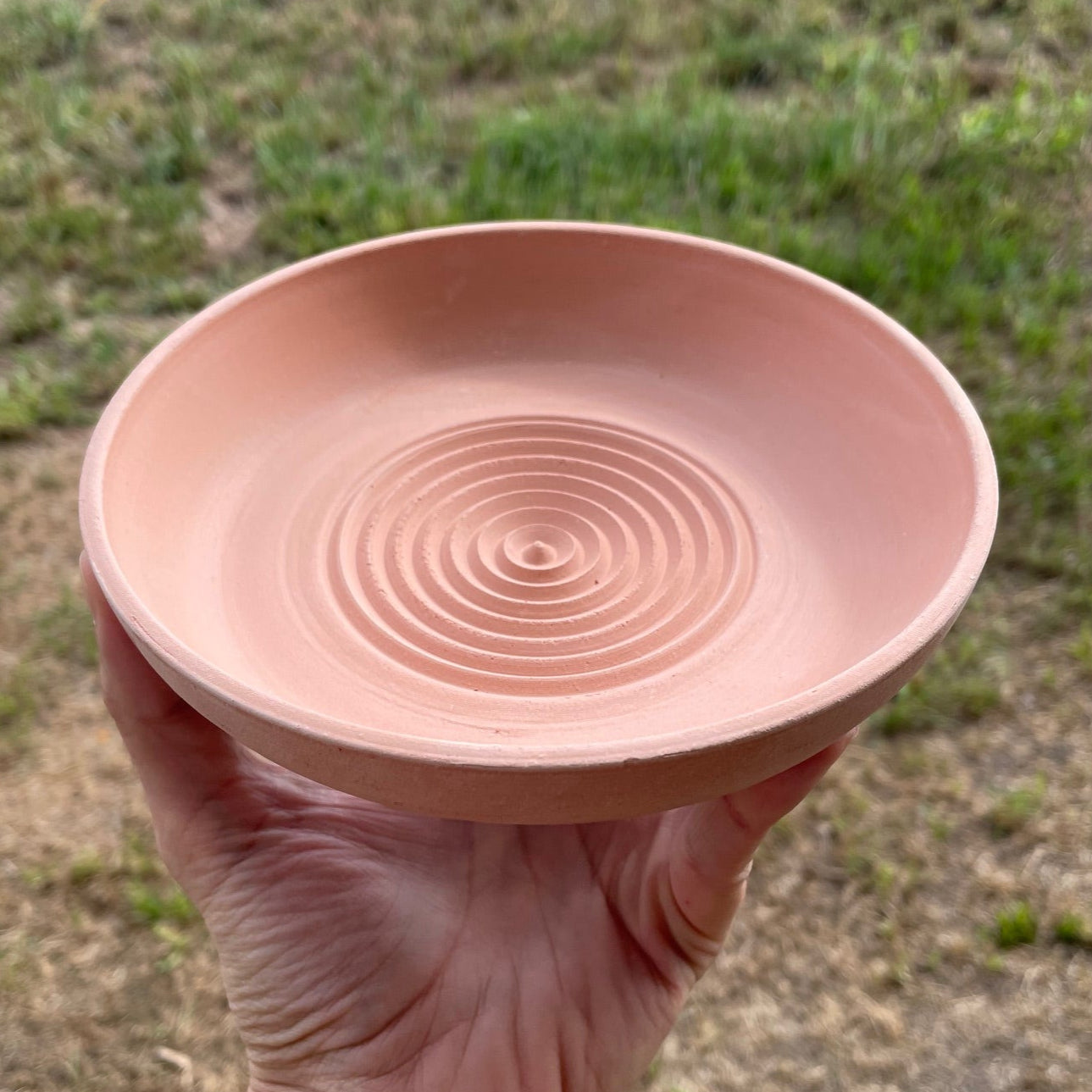 Paint Your Own Garlic Grater Dish